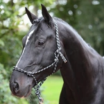  Въжен оглавник - Knotted Black