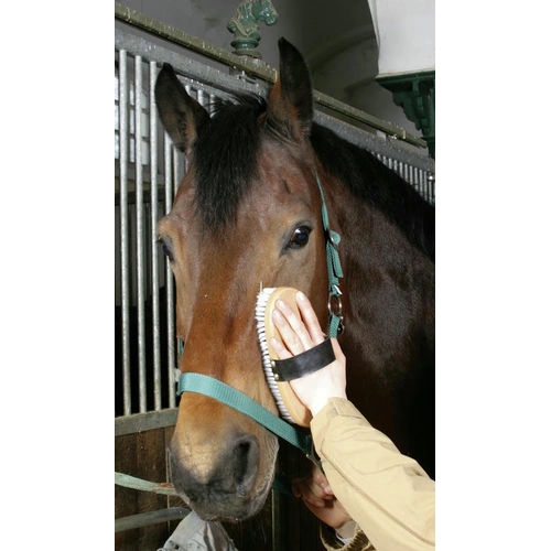 Четка с дървен гръб - Brush&Co